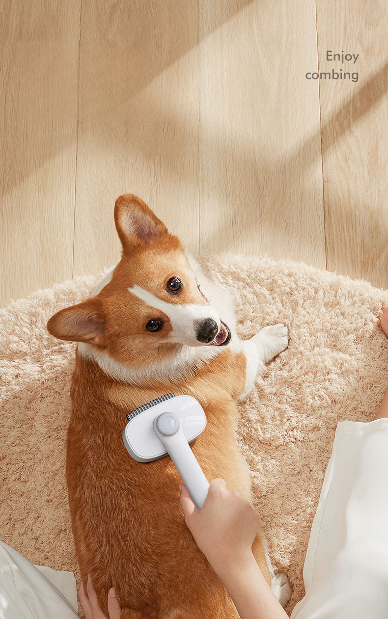 Cute Pet Grooming Comb