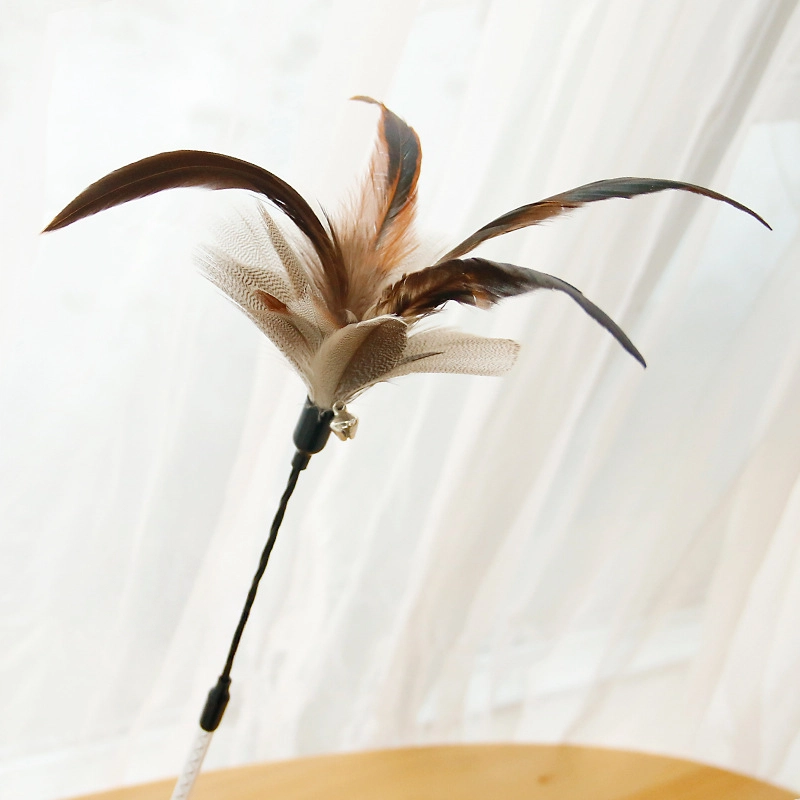 Flexible Feather Cat Teaser