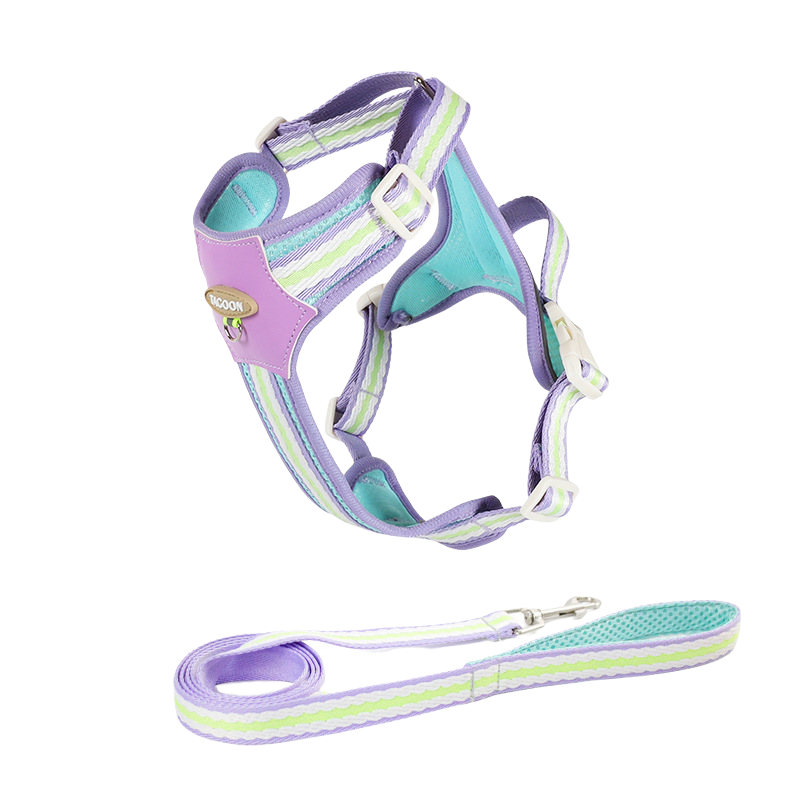 Colorful Pet Leash & Harness Set