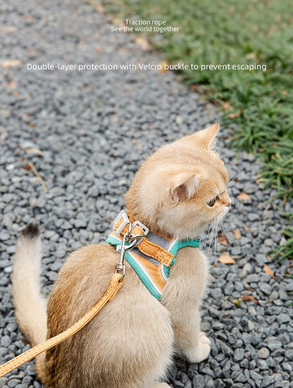 Pet Walk Leash for 2 Color