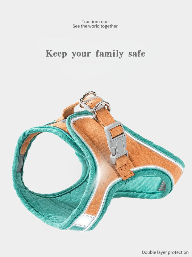 Pet Walk Leash for 2 Color