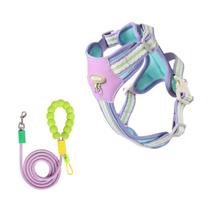 Cloudy Colorful Pet Leash & Harness Set