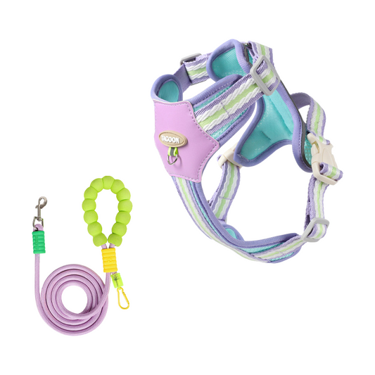 Cloudy Colorful Pet Leash & Harness Set