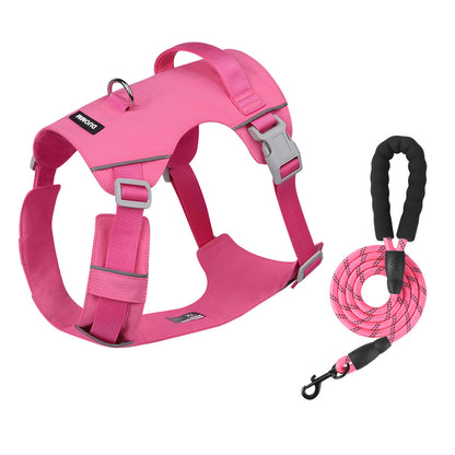 Adventure Pup Walk Set for 3 Color