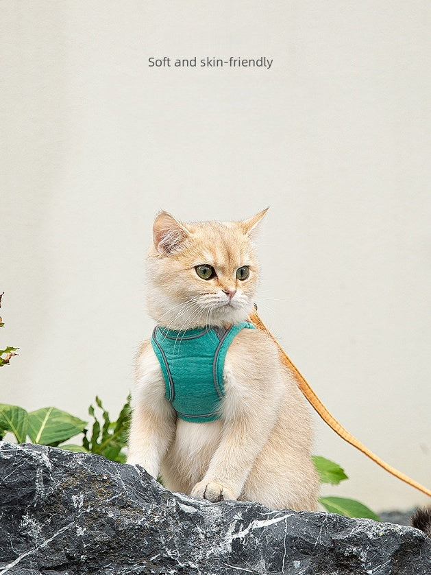 Pet Walk Leash for 2 Color