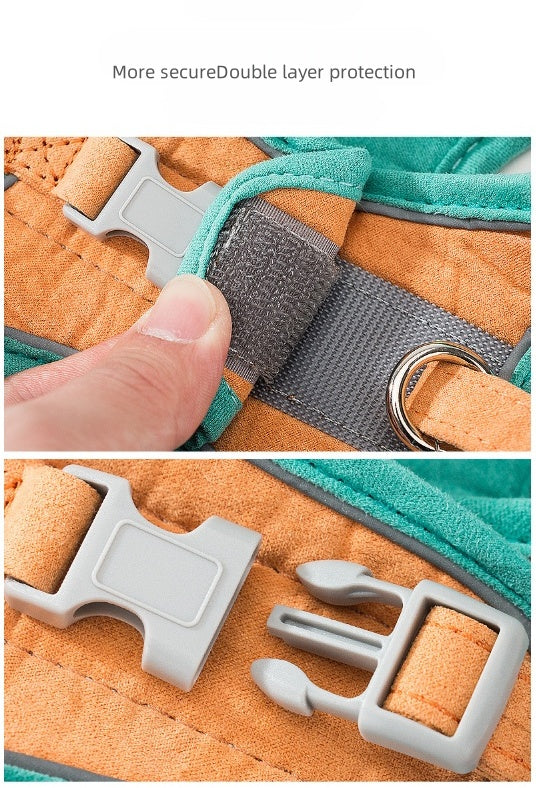 Pet Walk Leash for 2 Color