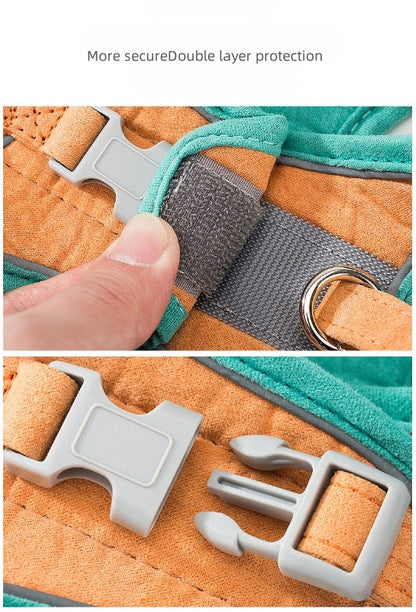 Pet Walk Leash for 2 Color