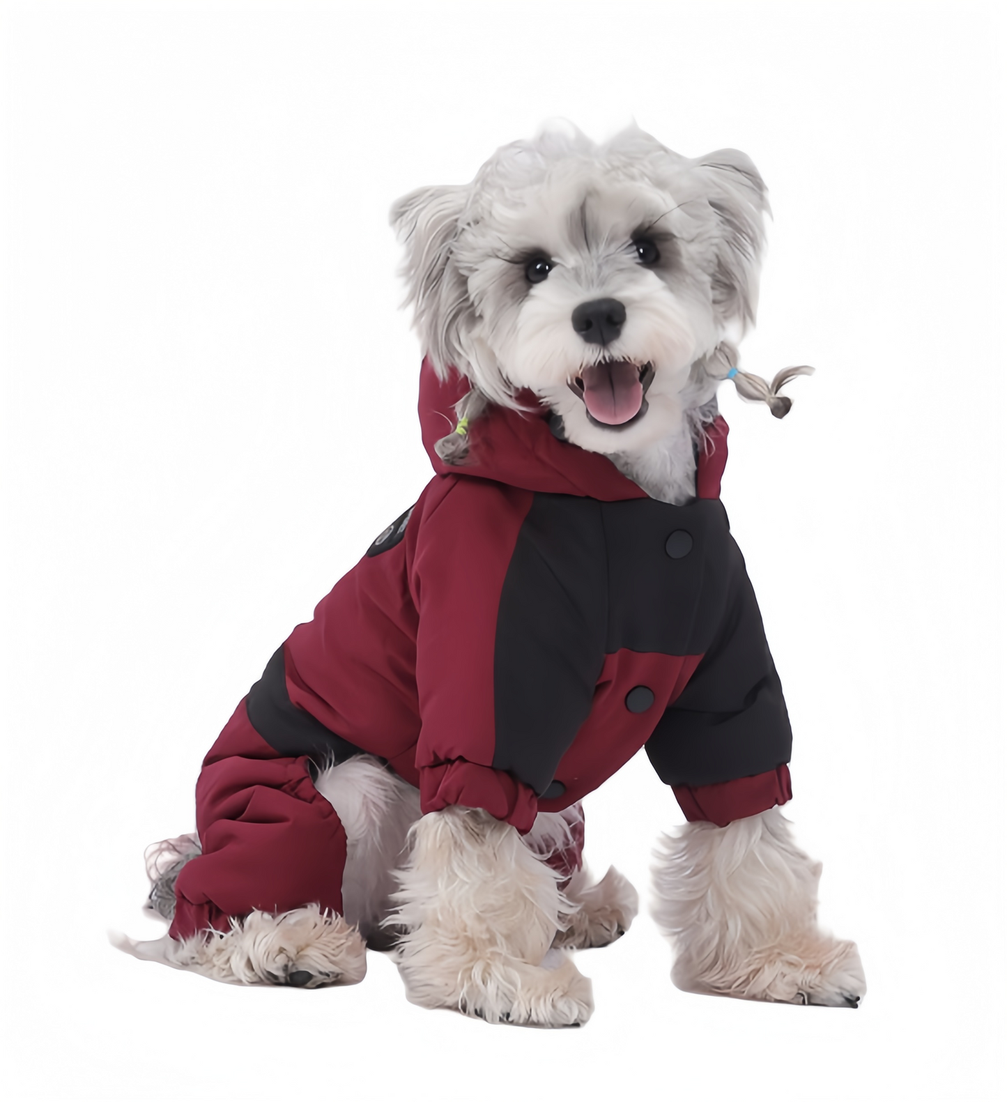 Arctic Paws - Pet Jumpsuit - Red