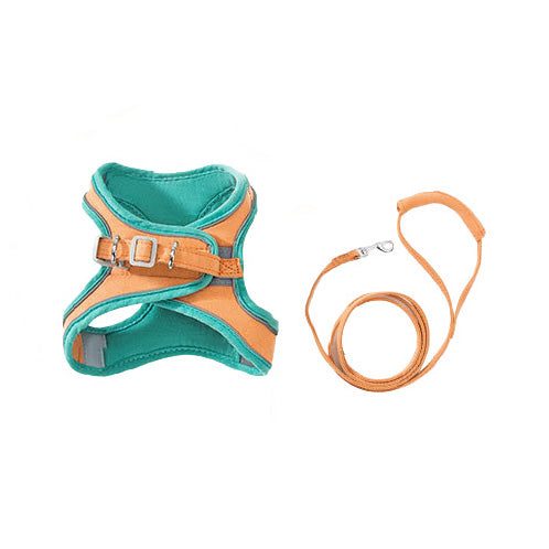 Pet Walk Leash for 2 Color