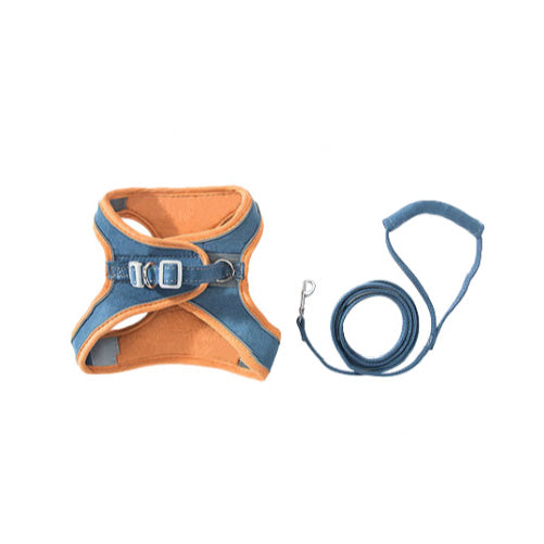 Pet Walk Leash for 2 Color