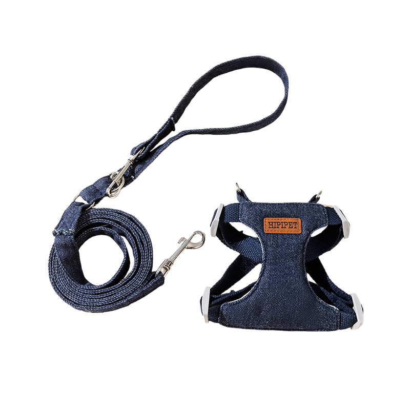 Pawsome Stroll Leash Set