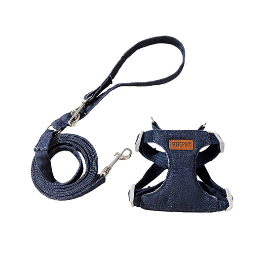 Pawsome Stroll Leash Set