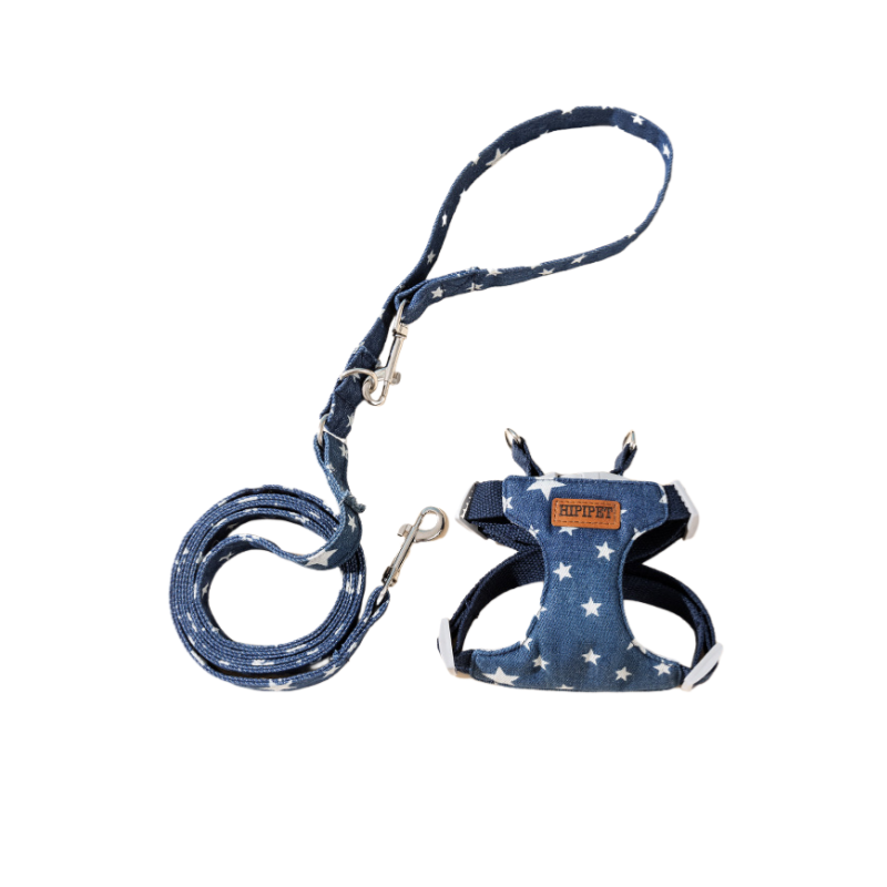 Pawsome Stroll Leash Set