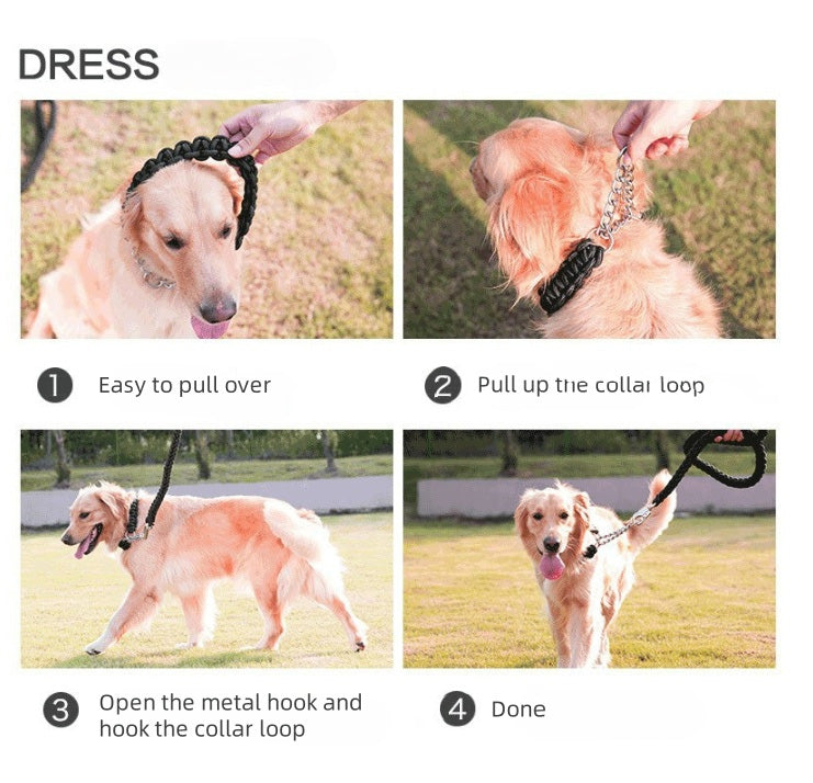 Joyride Pet Walking Leash Set