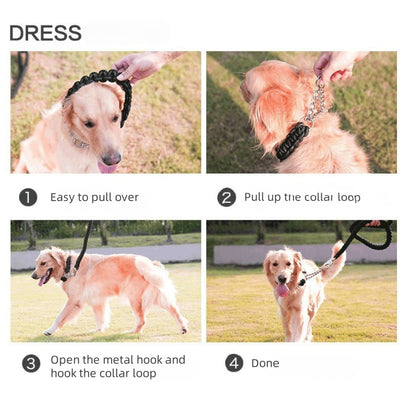 Joyride Pet Walking Leash Set