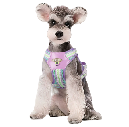 Cloudy Colorful Pet Leash & Harness Set