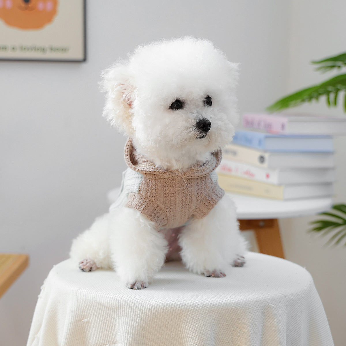 Little Floral Hooded Pet Knitted Coat - Green