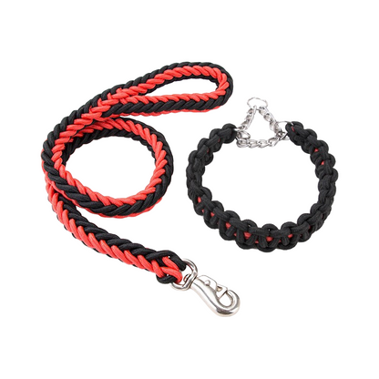 Buddy Walk Harness & Leash for 3 Color