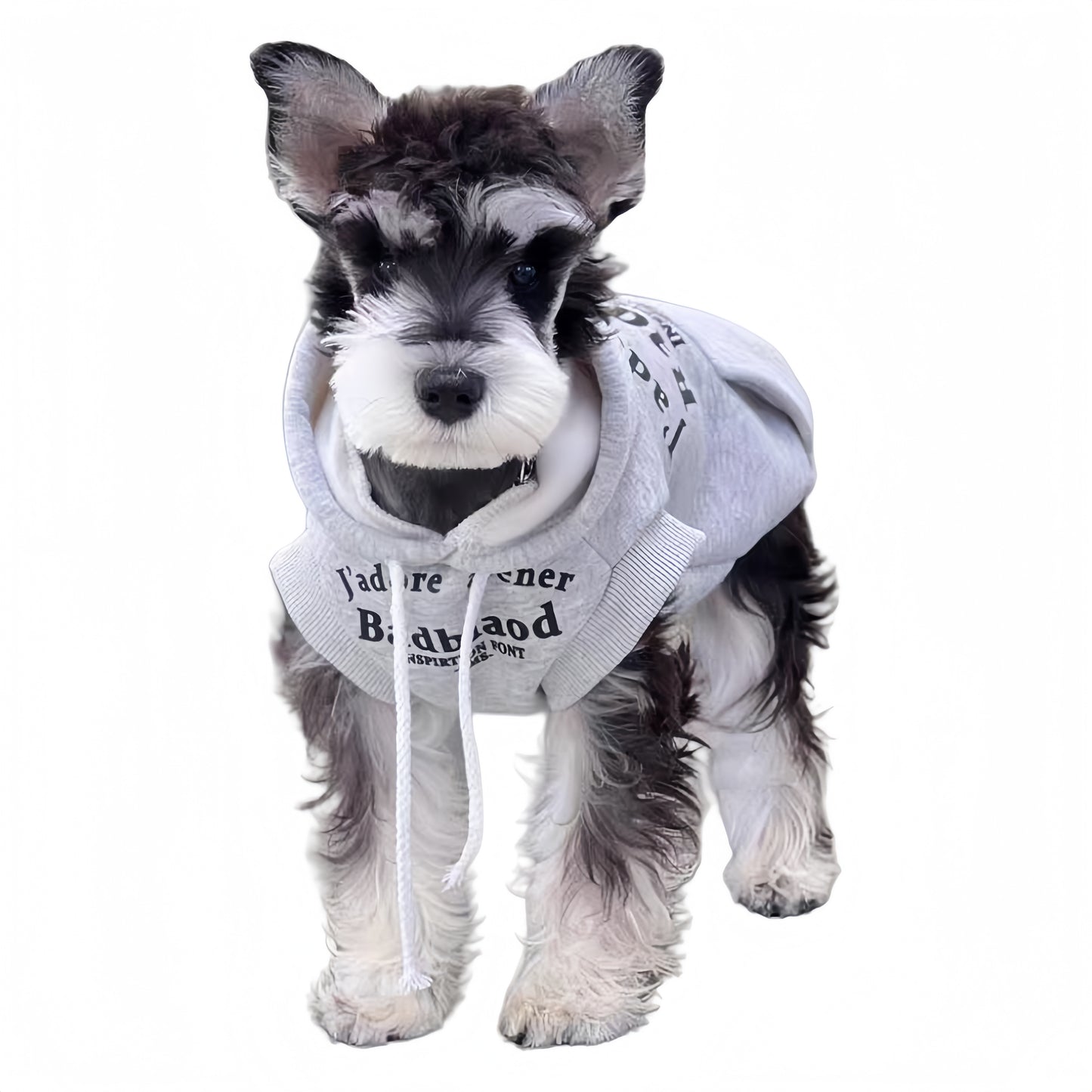 Pawsome Hoodie Collection for 3 Color