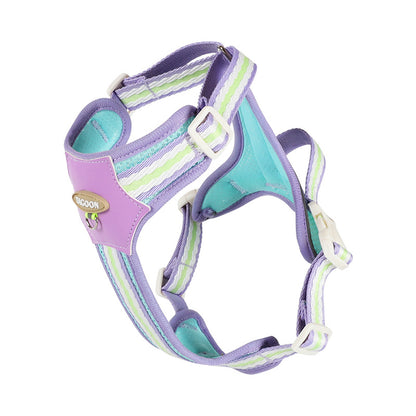Colorful Pet leash