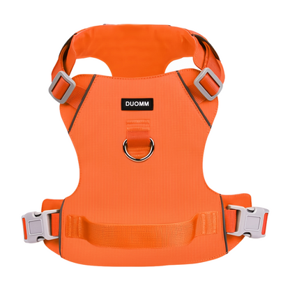 Adventure Pup Walk Set for 3 Color