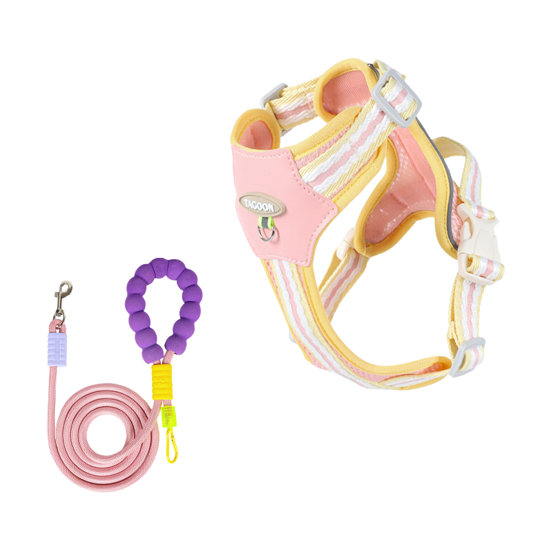 Cloudy Colorful Pet Leash & Harness Set