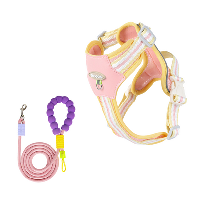 Cloudy Colorful Pet Leash & Harness Set