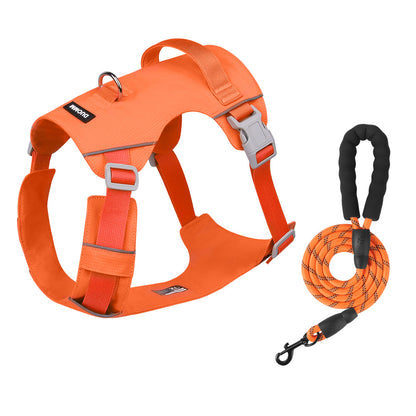 Adventure Pup Walk Set for 3 Color