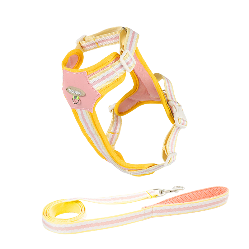 Colorful Pet Leash & Harness Set