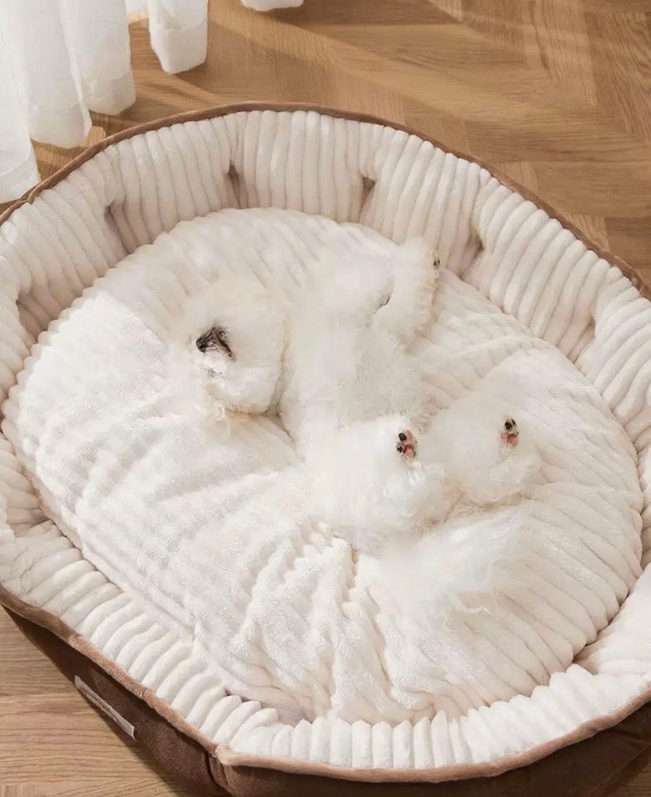 Cozy Cuddler Pet Bed
