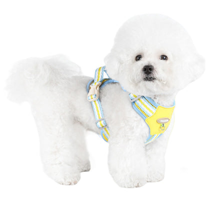 Cloudy Colorful Pet Leash & Harness Set
