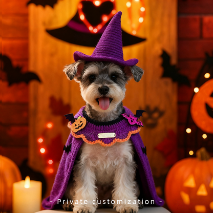 Halloween Cute Pet Collar