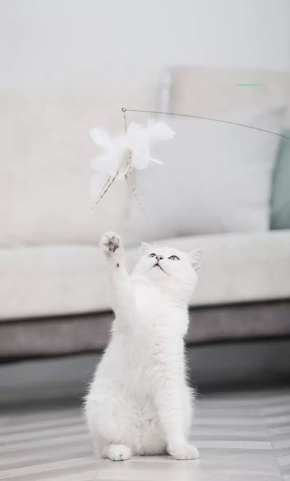 Suction Cup Feather Cat Teaser - Luxury