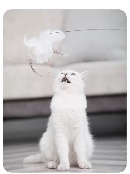Suction Cup Feather Cat Teaser - Luxury