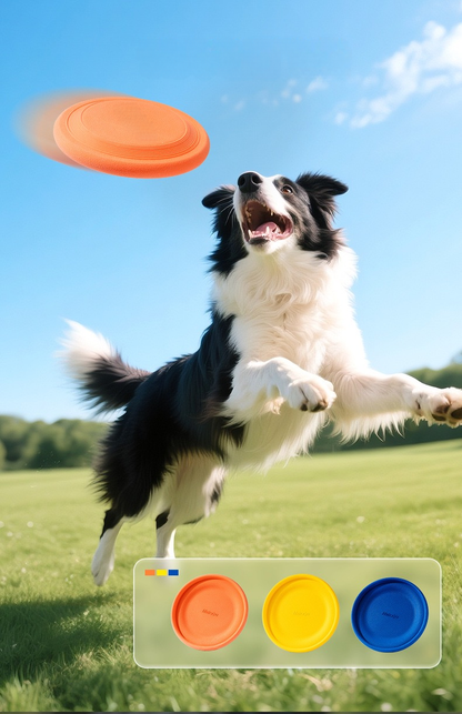 Pet Frisbee - Orange