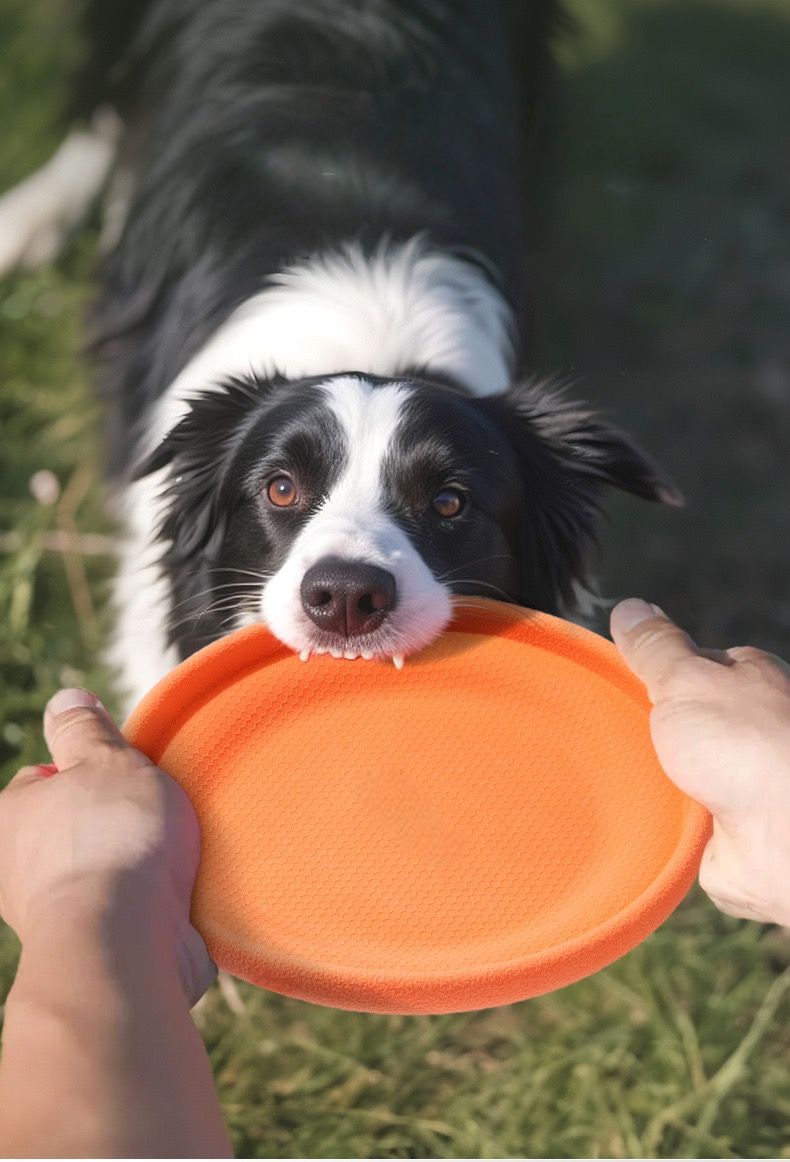Pet Frisbee - Orange