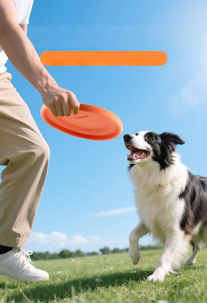 Pet Frisbee - Orange