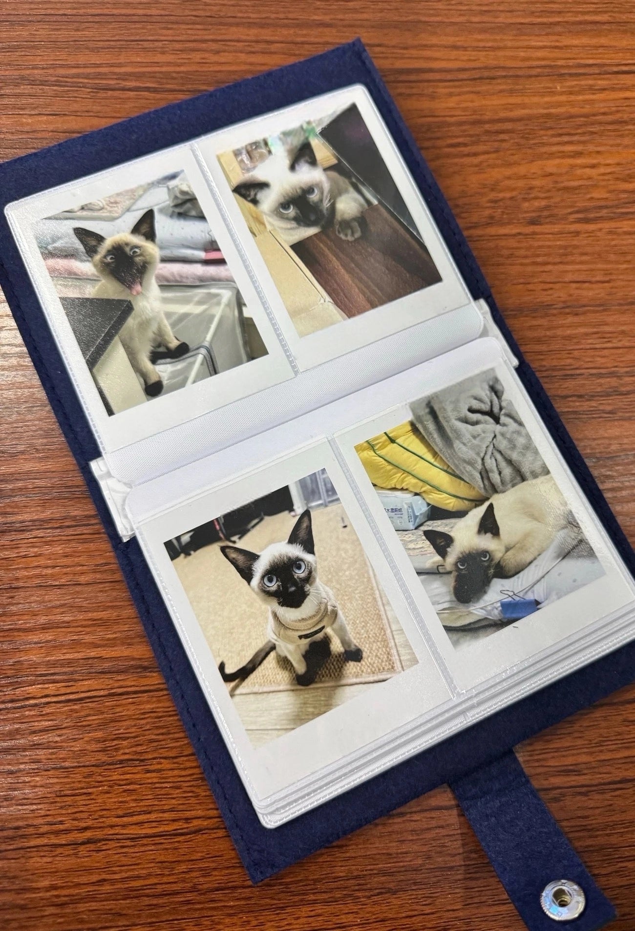 Meow Star Memory Albums-Hand Made