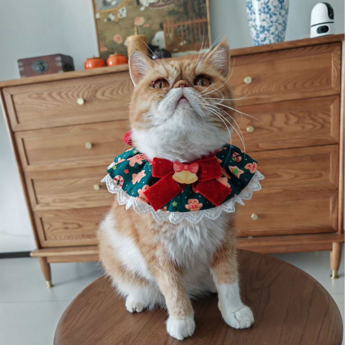 Christmas Gingerbread Paradies Pet Bow Tie