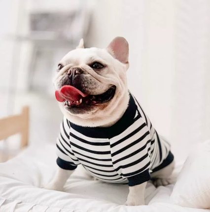 Retro Casual Stripe Pet Sweater