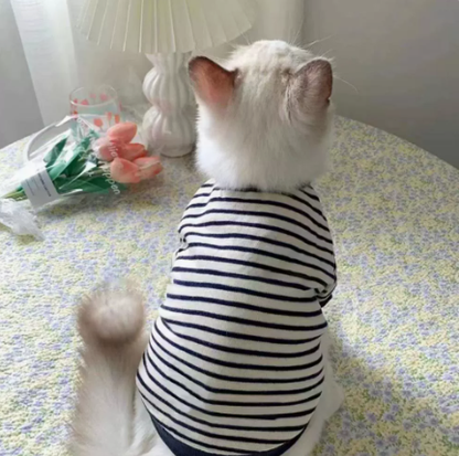 Retro Casual Stripe Pet Sweater
