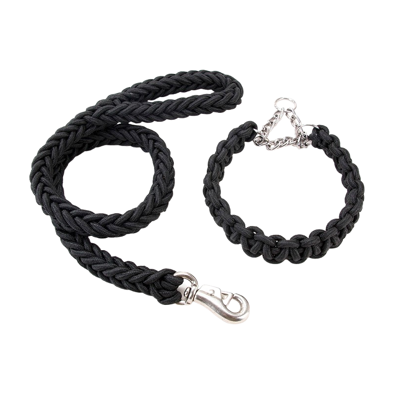 Joyride Pet Walking Leash Set