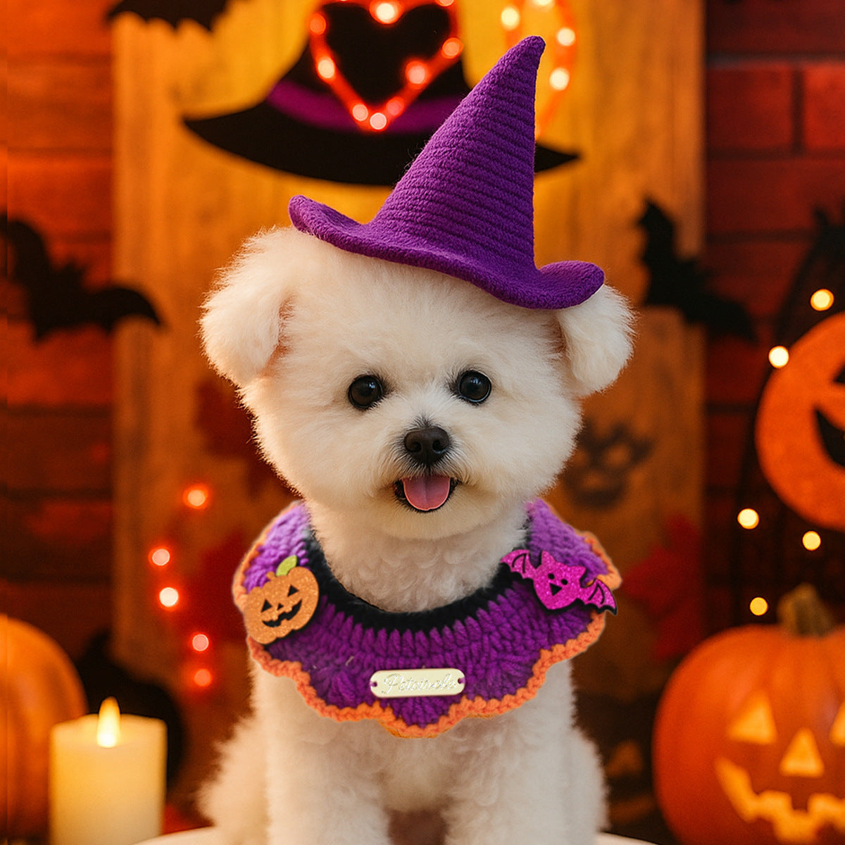 Halloween Cute Pet Collar