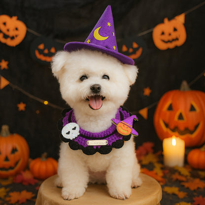 Purple Moon Adorable Demon Pet Costume