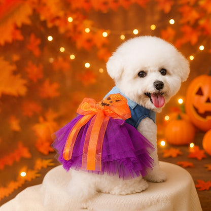 Pumpkin Fairy Pet Dress
