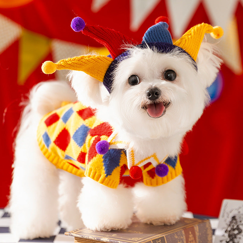 Joyful Clown Pet Coat
