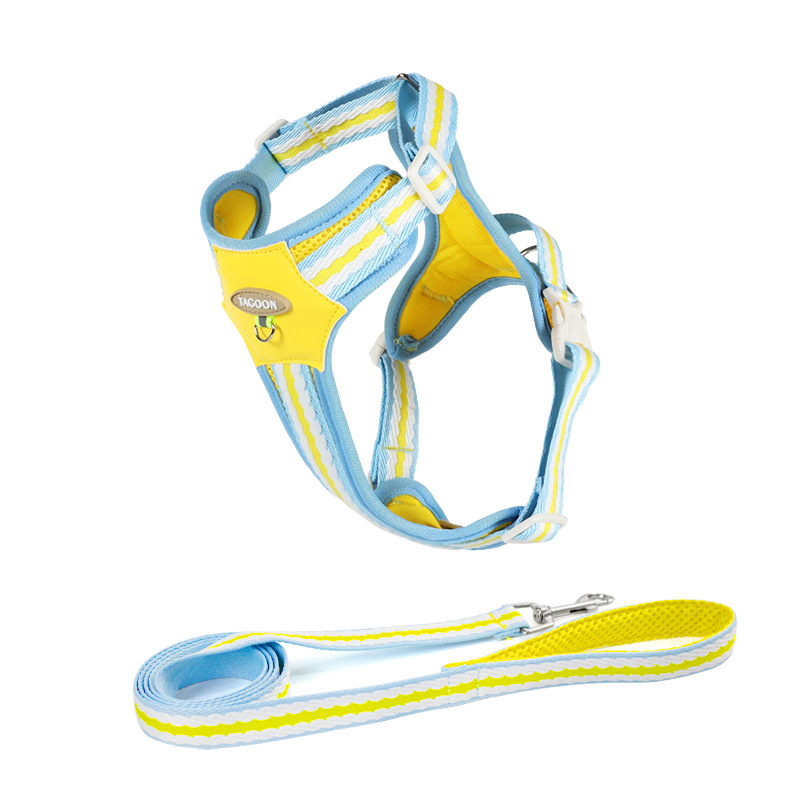 Colorful Pet Leash & Harness Set