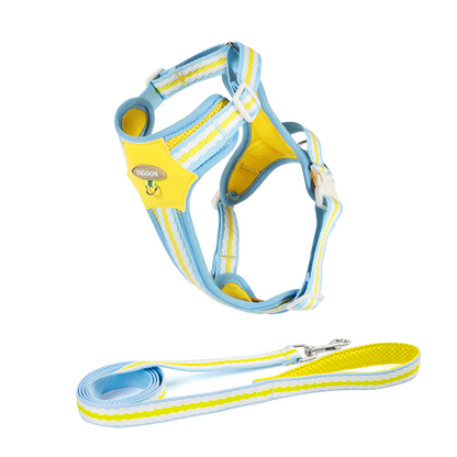 Colorful Pet Leash & Harness Set