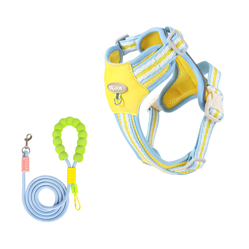 Cloudy Colorful Pet Leash & Harness Set