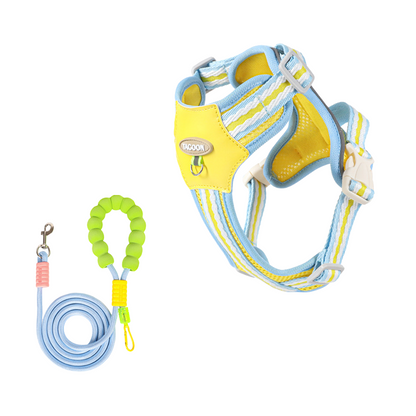Cloudy Colorful Pet Leash & Harness Set